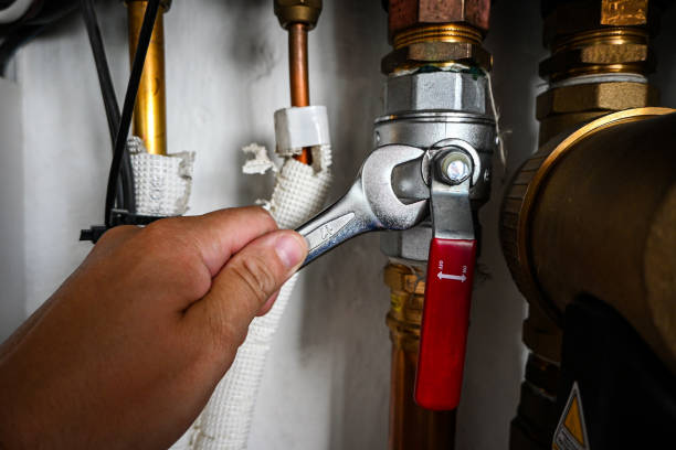 Best Toilet Repair Services  in Patton Village, TX